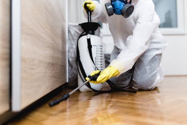  East Meadow, NY Pest Control Pros