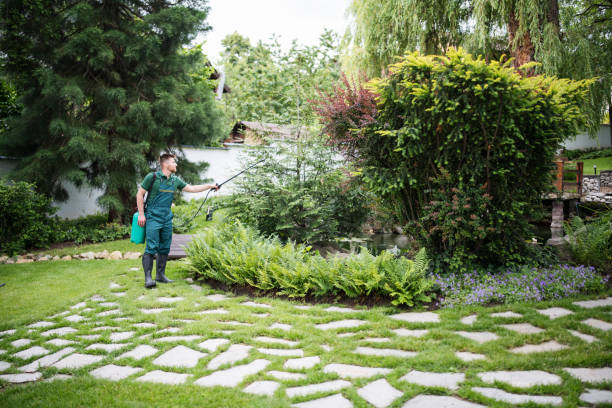 Best Cockroach Control Services  in East Meadow, NY