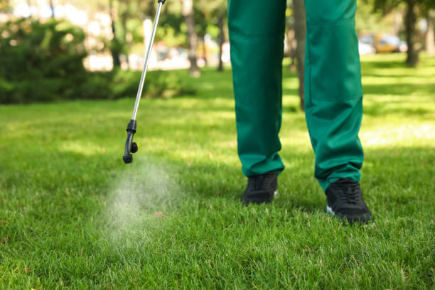 Best Rat Extermination Near Me  in East Meadow, NY