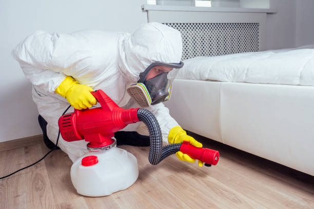 Pest Prevention Services in East Meadow, NY