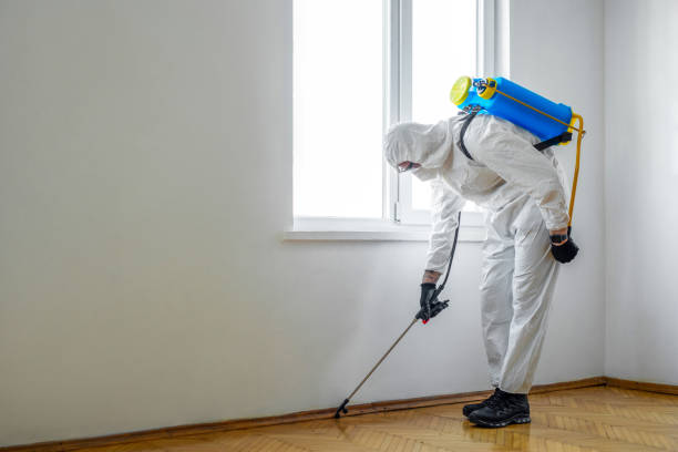 Best Pest Control Near Me  in East Meadow, NY