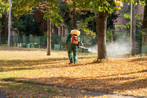 Professional Pest Control in East Meadow, NY