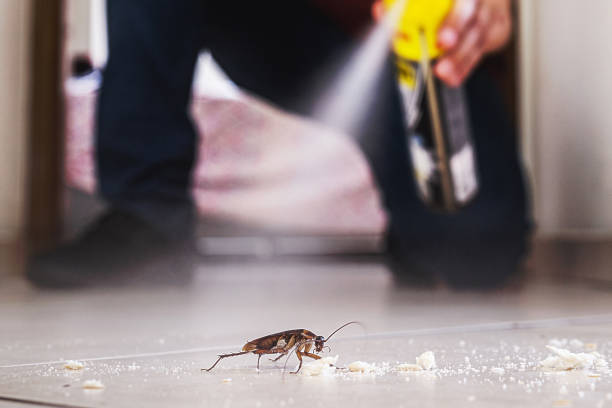 Best Cockroach Control Services  in East Meadow, NY