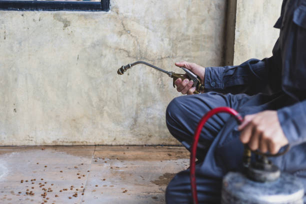 Pest Control Cost in East Meadow, NY
