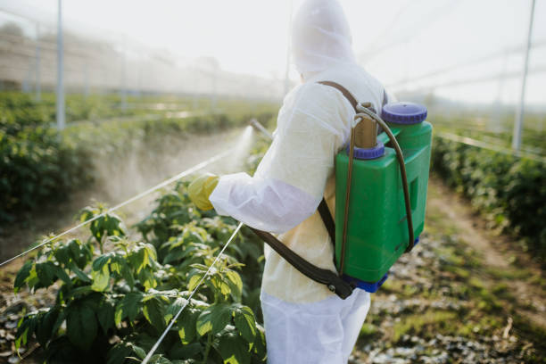Best Emergency Pest Control  in East Meadow, NY